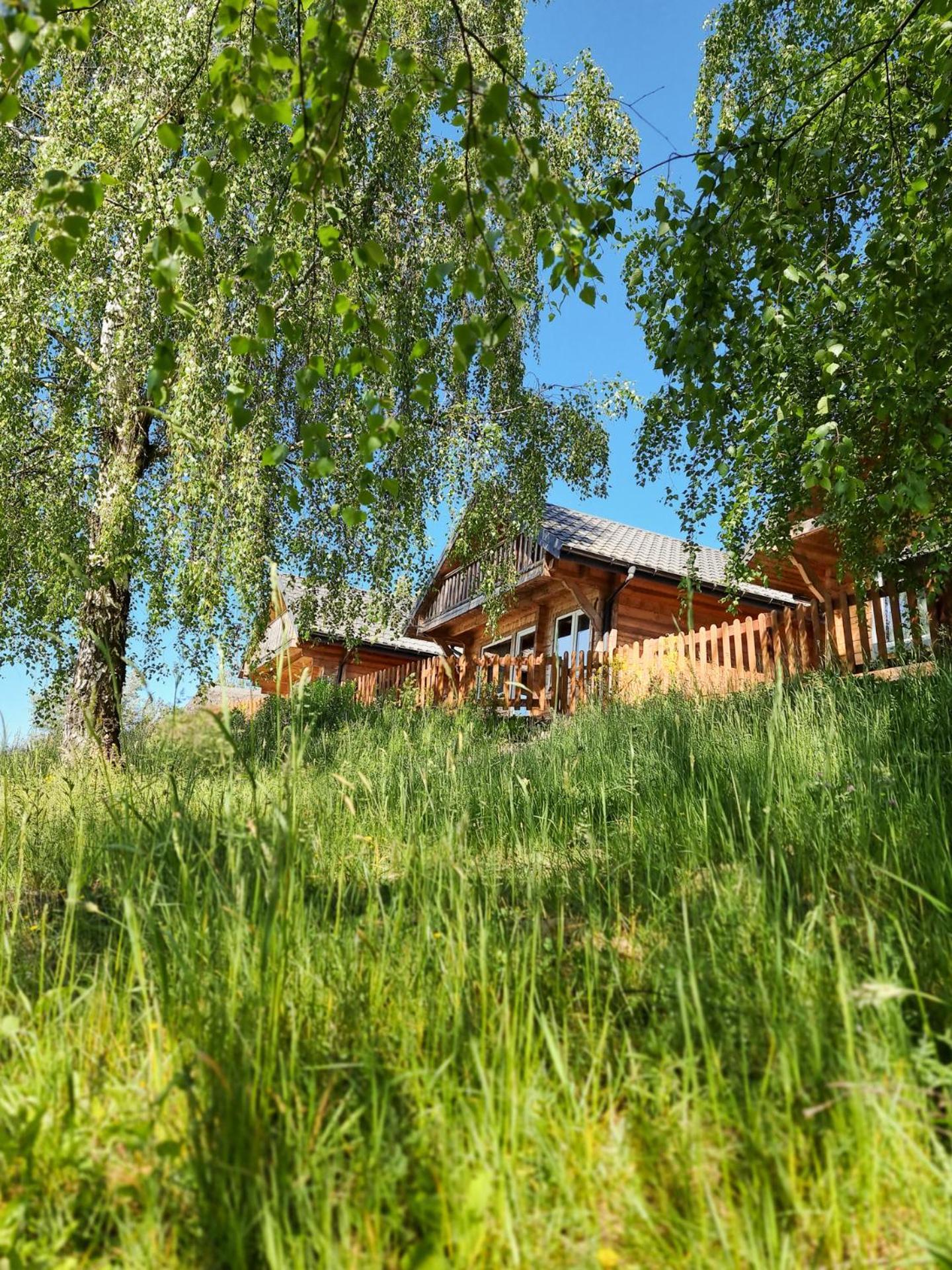 Osada Kryspinow Hotel Cholerzyn Luaran gambar